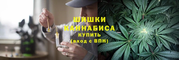ГАЛЛЮЦИНОГЕННЫЕ ГРИБЫ Остров