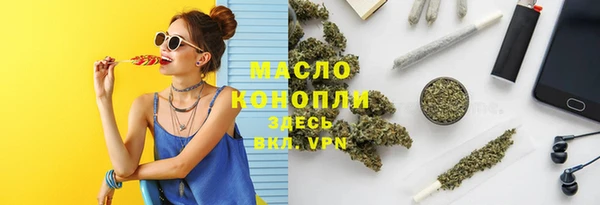 шишки Няндома