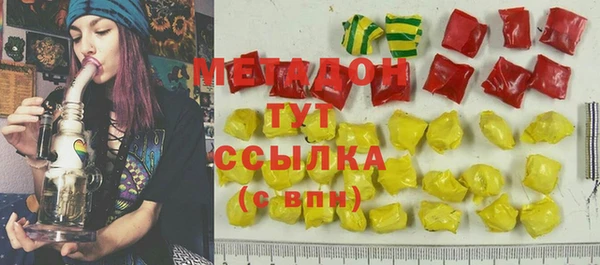 шишки Няндома