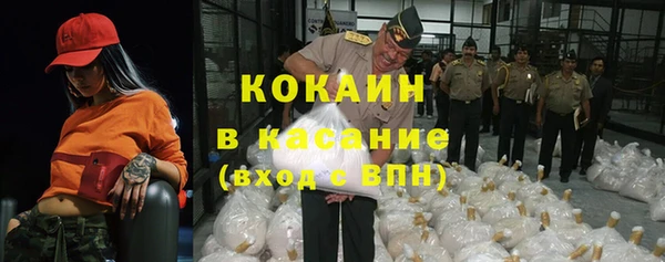 шишки Няндома