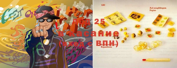 apvp Болотное
