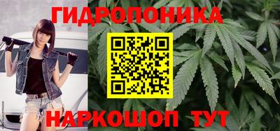 гашик Гусев