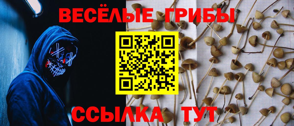 Галлюциногенные грибы GOLDEN TEACHER  закладки  Вход с VPN  Мегион  Псилоцибиновые грибы MAGIC MUSHROOMS 