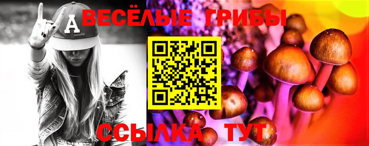 Галлюциногенные грибы Cubensis Мегион