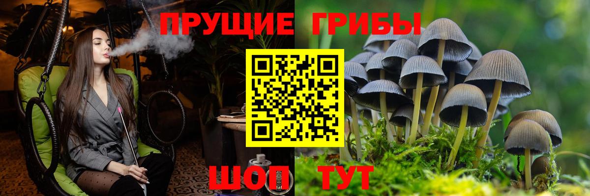 Псилоцибиновые грибы ЛСД  Псилоцибиновые грибы Magic Shrooms  продажа наркотиков  Мегион 