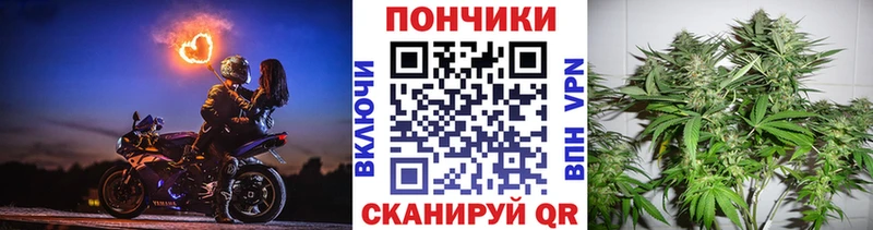 как найти наркотики  Мегион  Каннабис конопля 